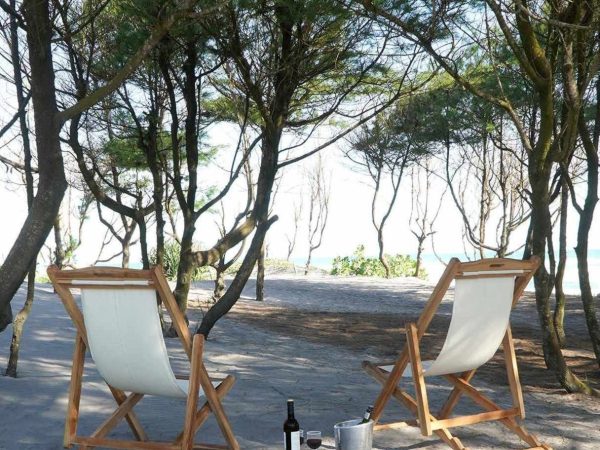 Muebles Asia - Gianyar Teakwood Folding Chair